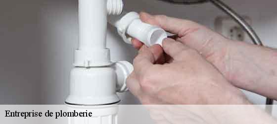 Entreprise de plomberie montagnac-34530 Elite plomberie -3